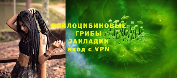 эйфоретик Нязепетровск
