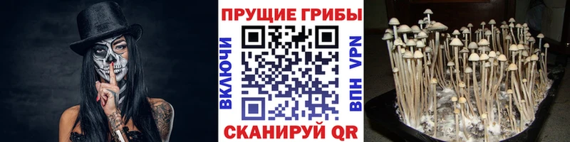 Псилоцибиновые грибы ЛСД  Купить  Усть-Лабинск 